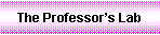 Text Box: The Professors Lab